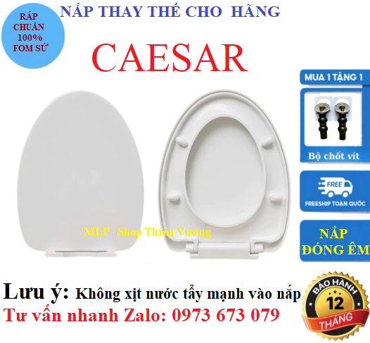 NẮP BỒN CẦU CAESAR