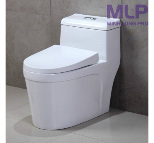 Nắp bồn cầu chữ V